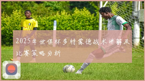 2025年世俱杯多特蒙德战术讲解及比赛策略分析
