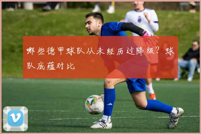 哪些德甲球队从未经历过降级?球队底蕴对比