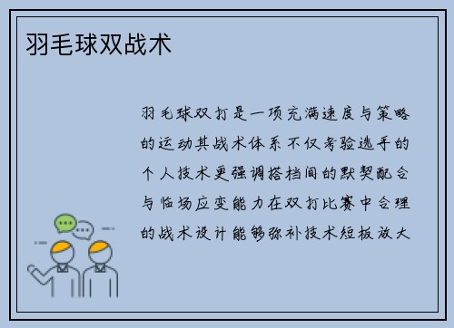 羽毛球双战术