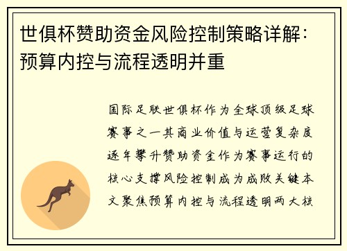 世俱杯赞助资金风险控制策略详解：预算内控与流程透明并重